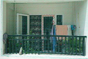 Balcony Safety Nets in Hyderabad